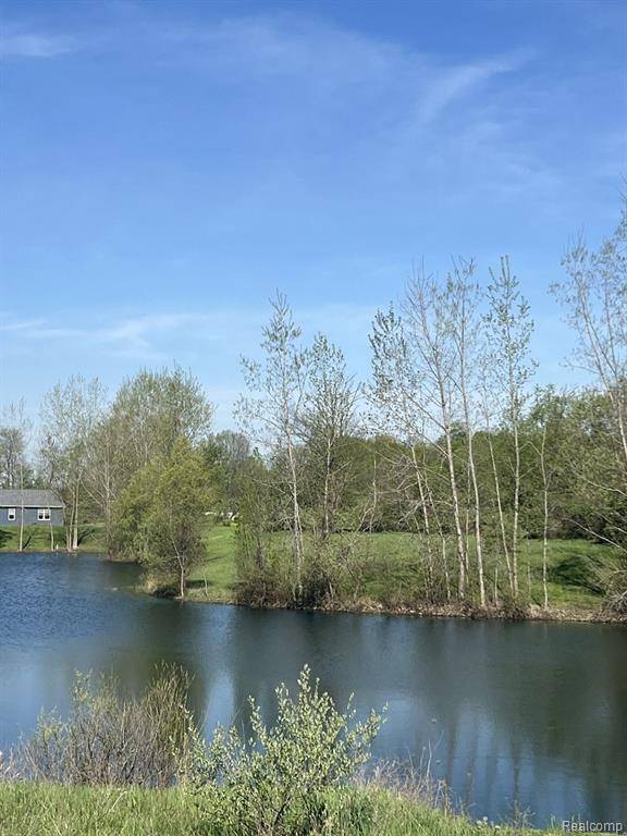 North Branch Twp, MI 48461,VL Turtle Lake  Road