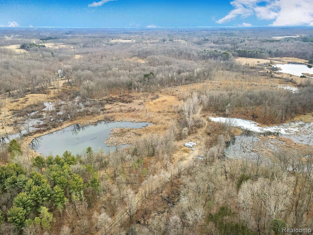 Deerfield Twp, MI 48418,0 Lovejoy Road