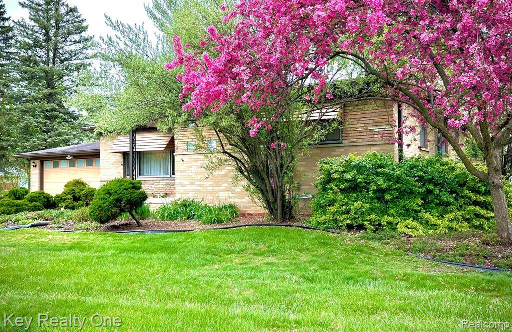 Redford Twp, MI 48239,9186 Arnold St.