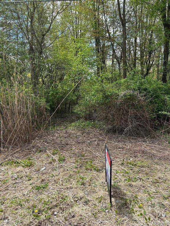 China Twp, MI 48054,0 BELLE RIVER Road