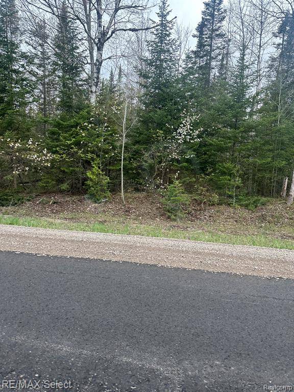 Cold Springs Twp, MI 49646,4610 SANMOTT Trail NE