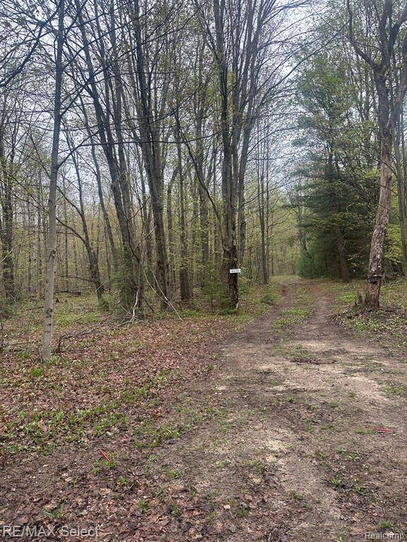 Cold Springs Twp, MI 49646,4610 SANMOTT Trail NE