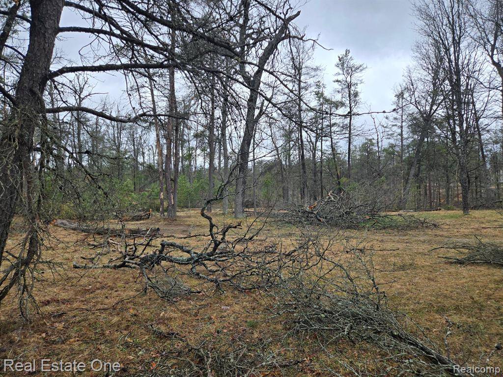 Grayling Twp, MI 49738,3774 S STEPHAN BRIDGE Road