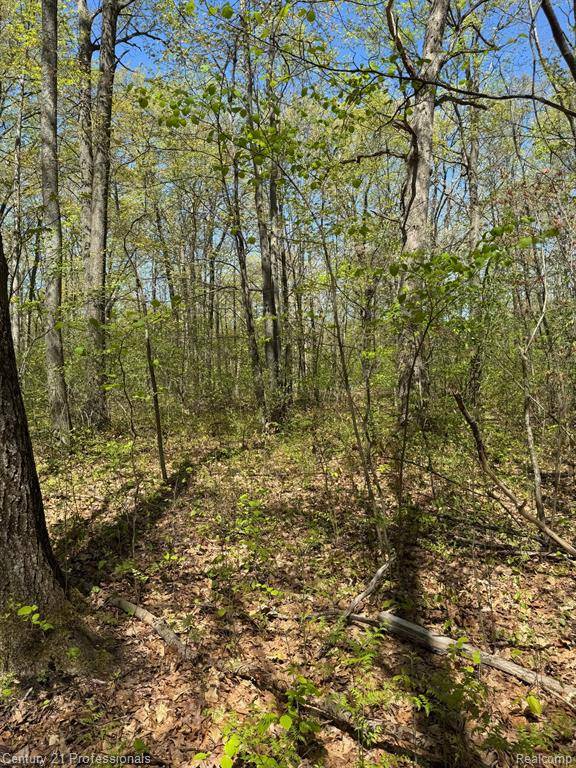 Roscommon Twp, MI 48629,1213 KEWEENAW Trail