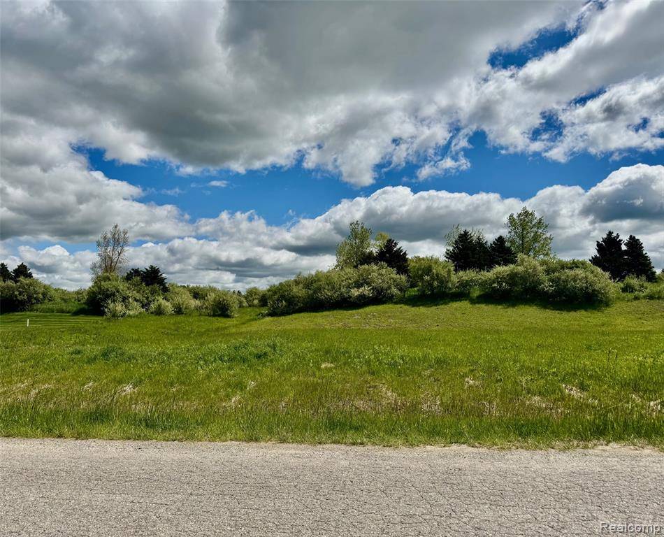 Metamora Twp, MI 48455,1058 INVITATIONAL Drive