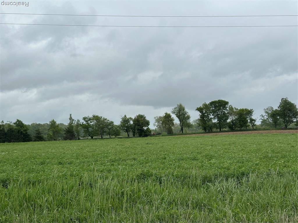 Marion Twp, MI 48843,Parcel 4 Cedar Lake Road
