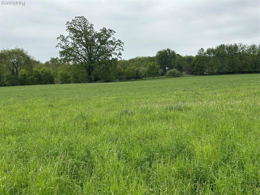 Marion Twp, MI 48843,Parcel 6 Cedar Lake Road