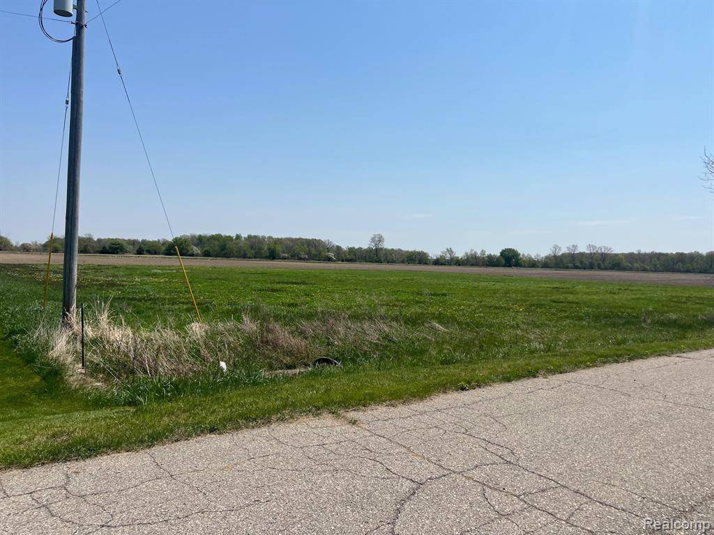Caledonia Twp, MI 48867,1990 BUCK TAIL Road