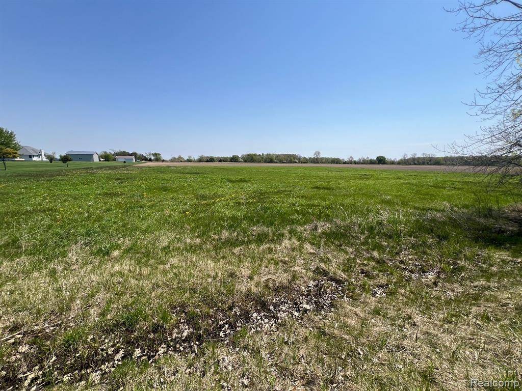 Caledonia Twp, MI 48867,1990 BUCK TAIL Road