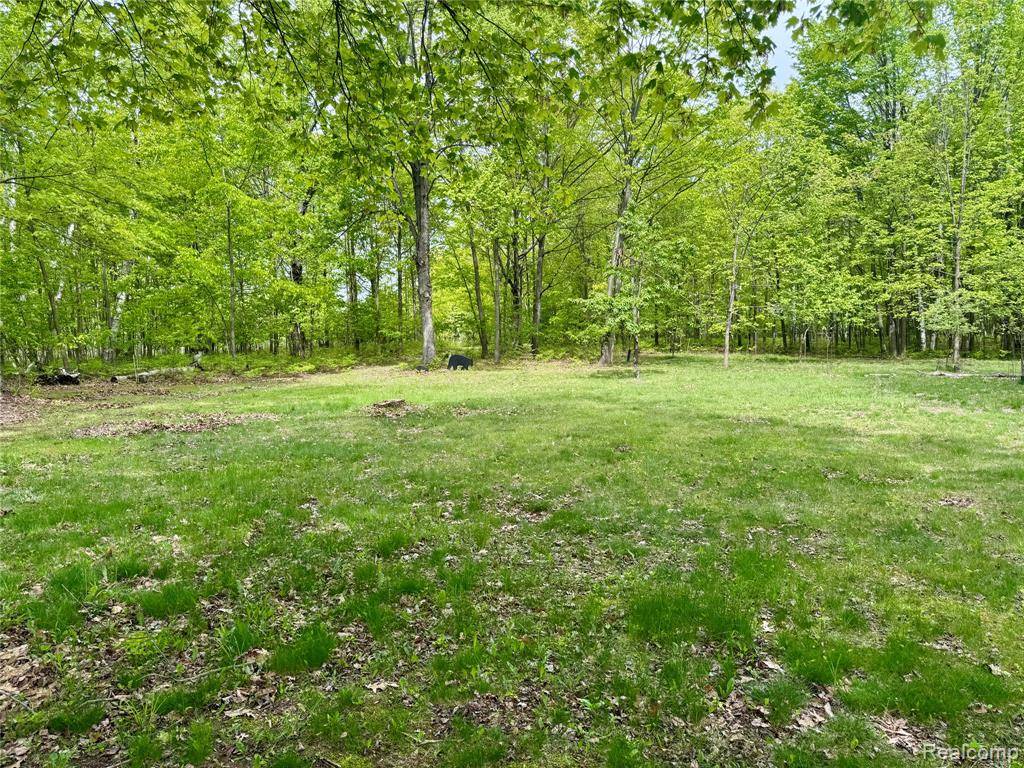 Gladwin, MI 48624,499 E Winegars Road
