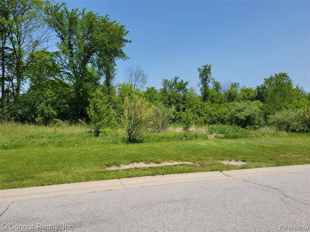 Kimball Twp, MI 48074,0 9th st
