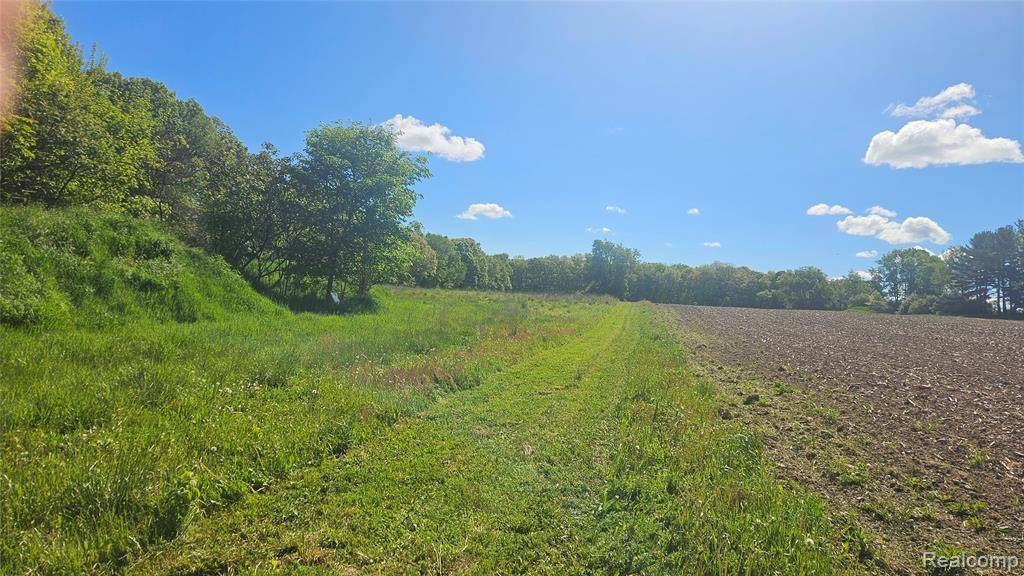 Oceola Twp, MI 48855,tbd mack rd