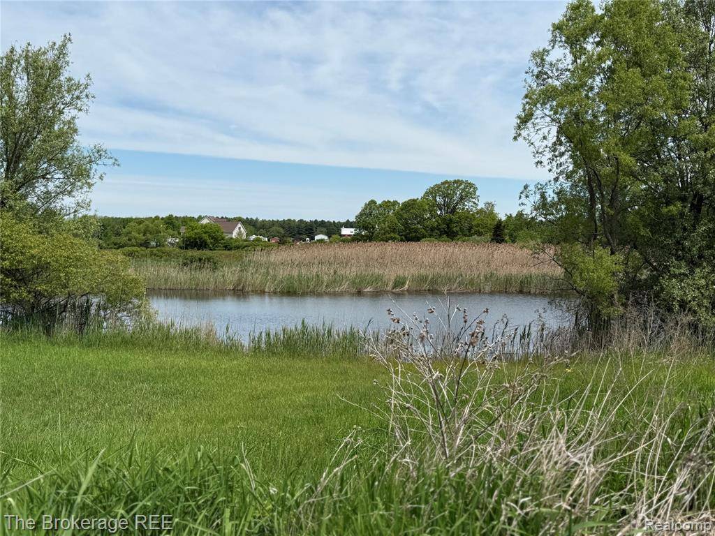 Elba Twp, MI 48446,3020 Merwin Road