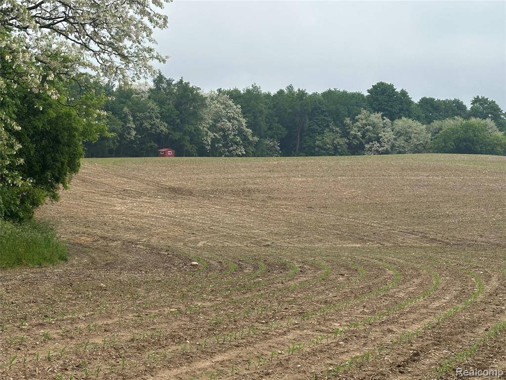 Fremont Twp, MI 48744,VL Mertz Road