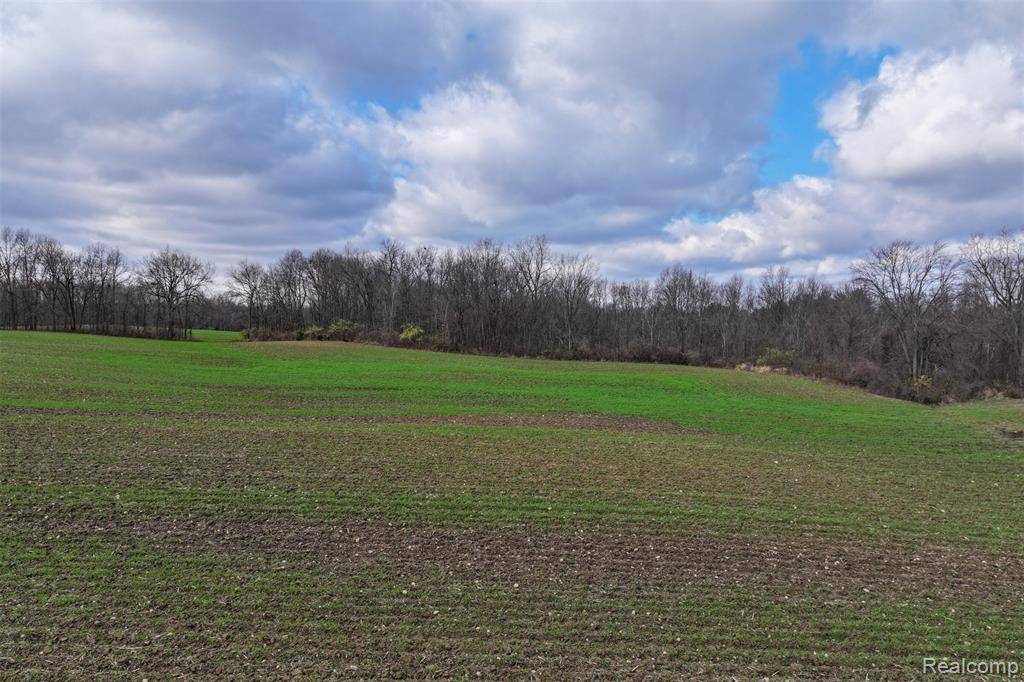 Elba Twp, MI 48446,0 Golf (F) Road
