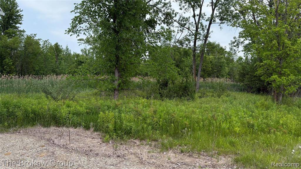 Emmett Twp, MI 48022,10696 Dunnigan Road