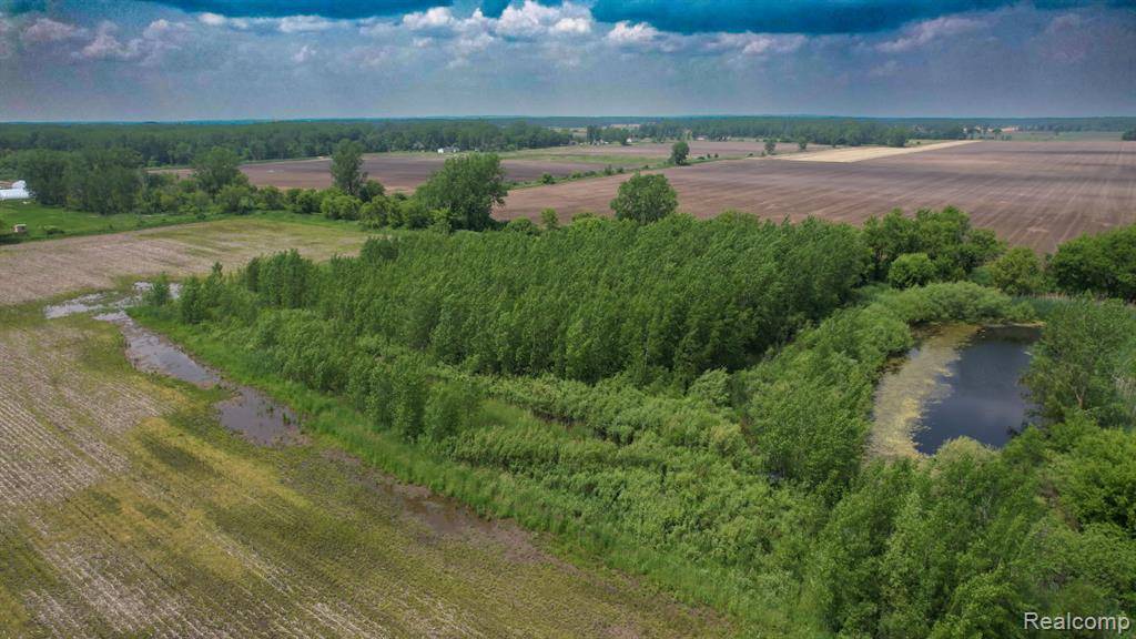 Capac Vlg, MI 48014,00 Cade Road