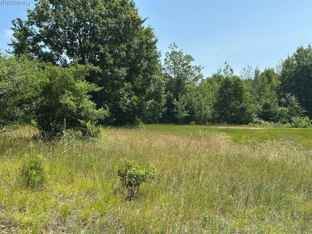 Onekama Twp, MI 49675,77 E Starlight Ridge Circle