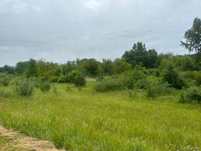 Davison, MI 48423,10.63(+/-) Acres Lapeer Road