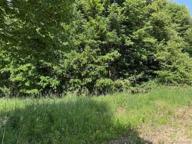 Brown City, MI 48416,000 Bentley Road