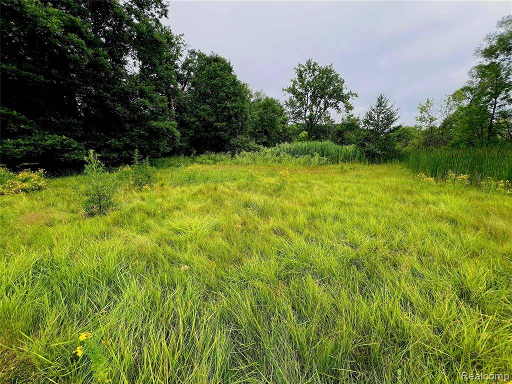 West Bloomfield Twp, MI 48324,Lot 94 Hiller Road