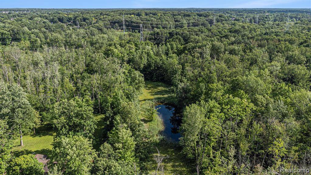 Independence Twp, MI 48348,00 Waldon Road