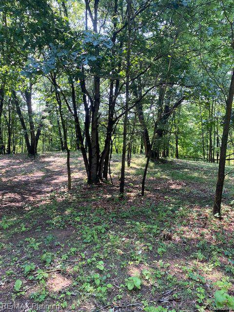 Howell Twp, MI 48843,3 Sleaford-Parcel 3-3.17 Acres Road