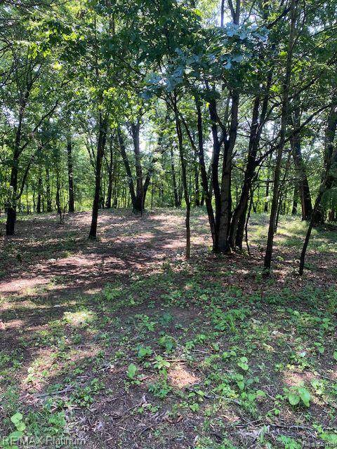 Howell Twp, MI 48843,6 Sleaford-Parcel 6 - 2.1 Acres Road