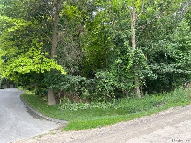 Elba Twp, MI 48455,00 Mitchell Road