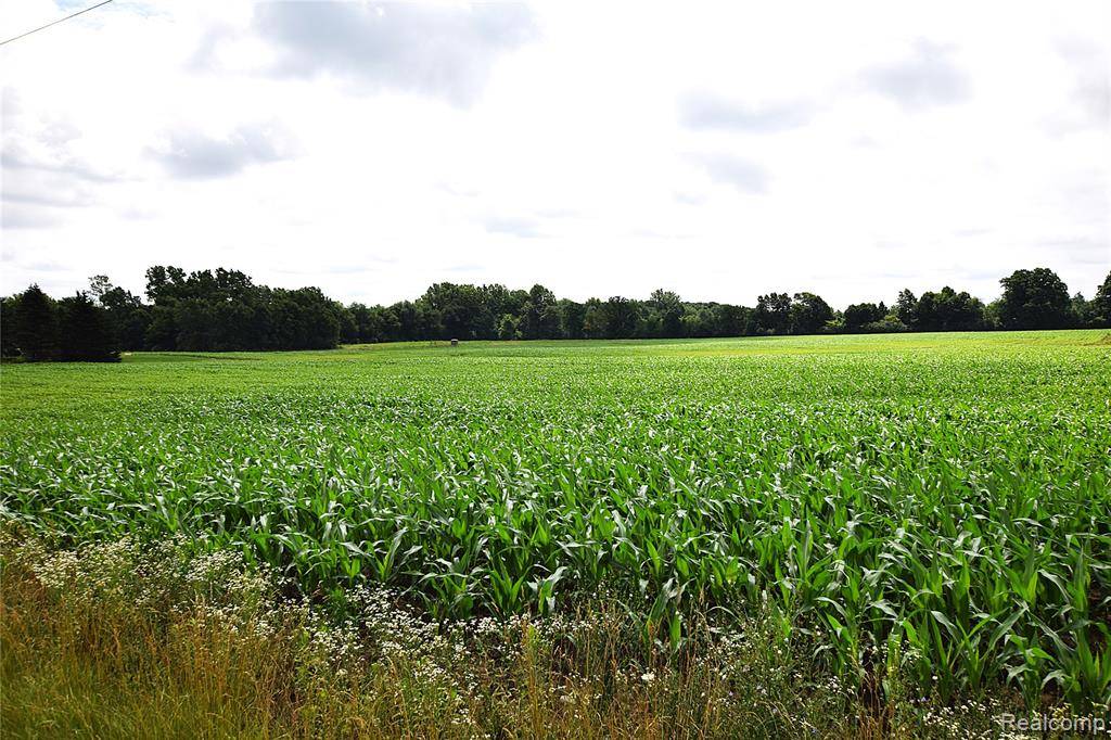 Forest Twp, MI 48463,V/L N Irish Road