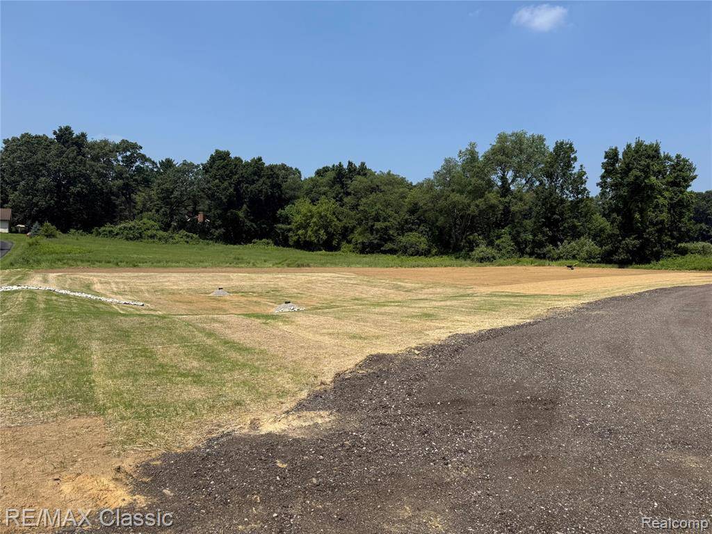 Milford Twp, MI 48381,001 Buttercup Trail