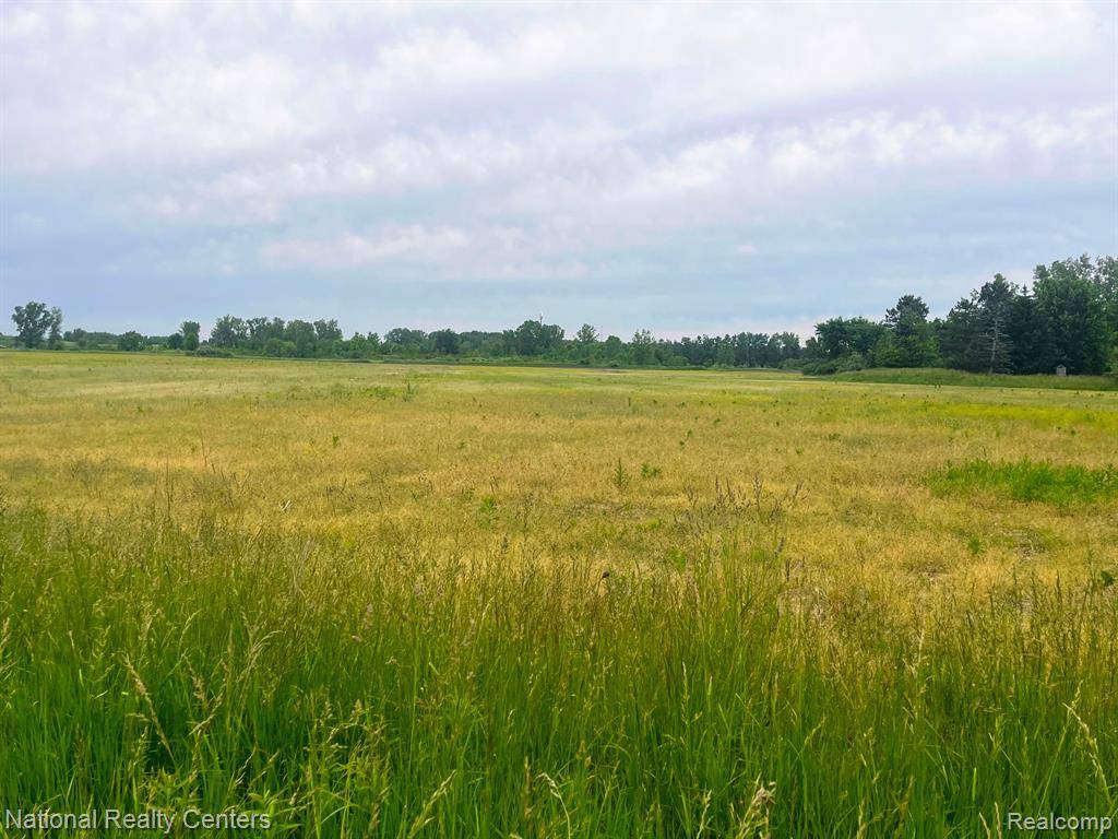 Berlin Twp, MI 48002,PARCEL H SHARRARD Road