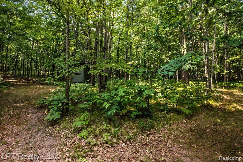 Lincoln Twp, MI 48632,5595 Bringold Avenue