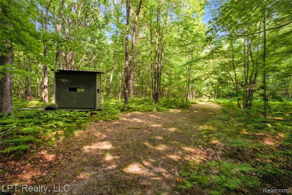 Lincoln Twp, MI 48632,5595 Bringold Avenue
