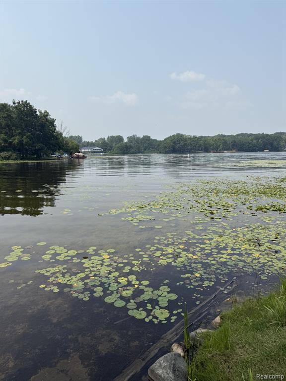 Otter Lake Vlg, MI 48464,4744 Brunk Drive