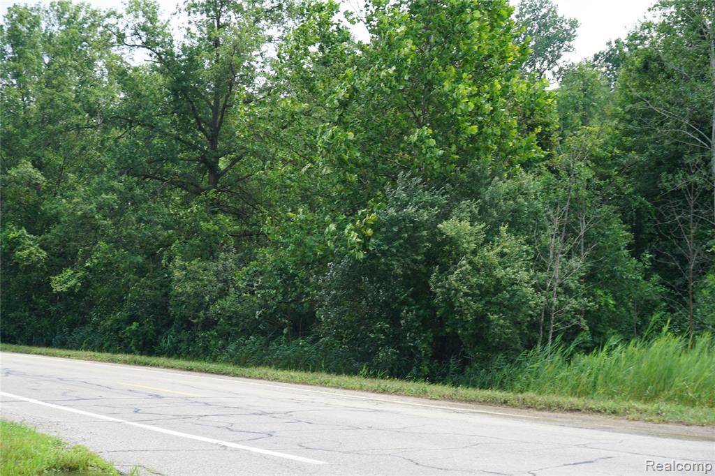 Sumpter Twp, MI 48164,Vacant Willow Road
