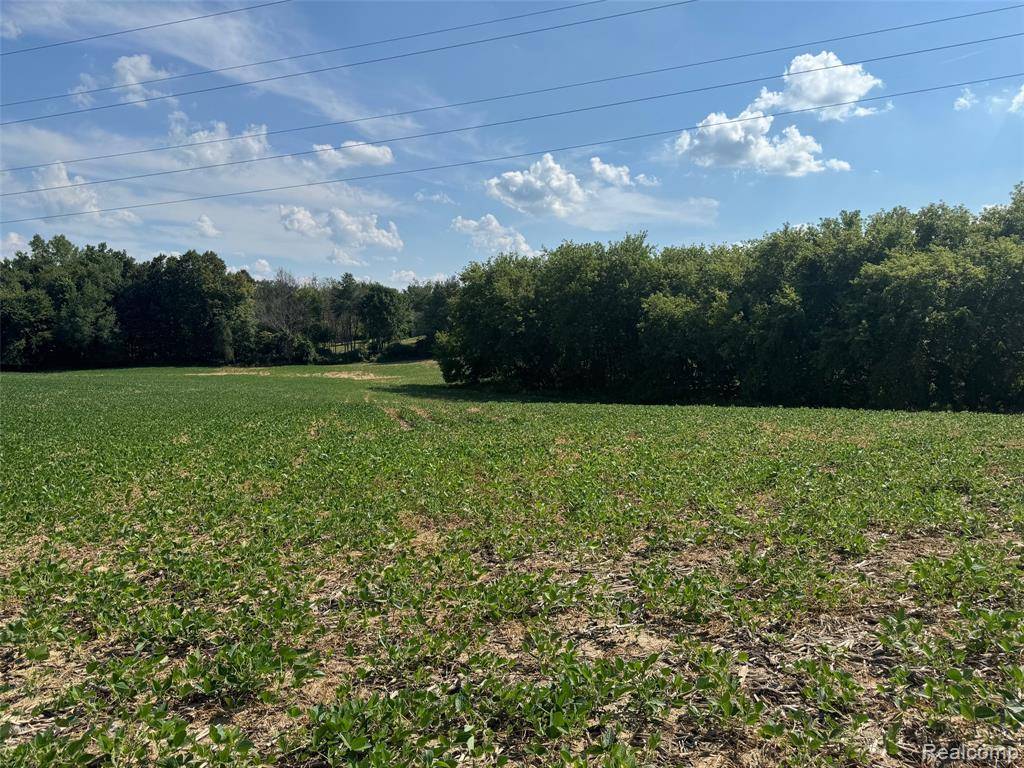 Dryden Twp, MI 48428,VL S Mill Road