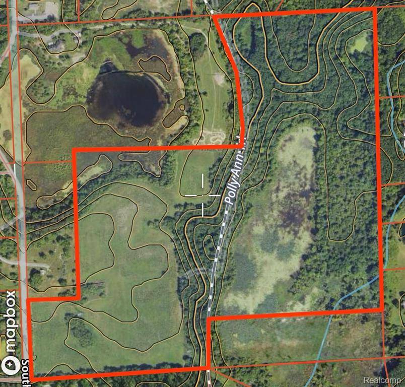 Dryden Twp, MI 48428,VL S Mill Road