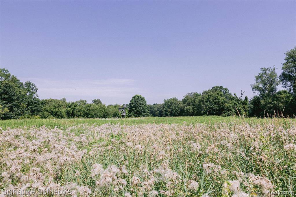 Oxford Twp, MI 48371,0000 Red Fox Run