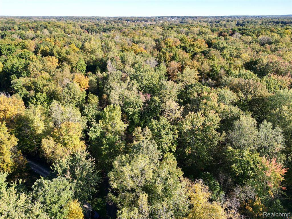 Brighton, MI 48114,LOT #2 & #4 Deadwood