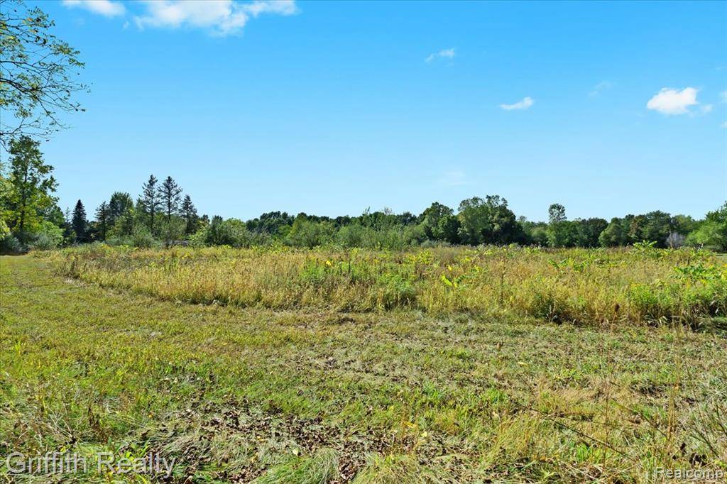 Lyndon Twp, MI 48118,9800 Beeman Road