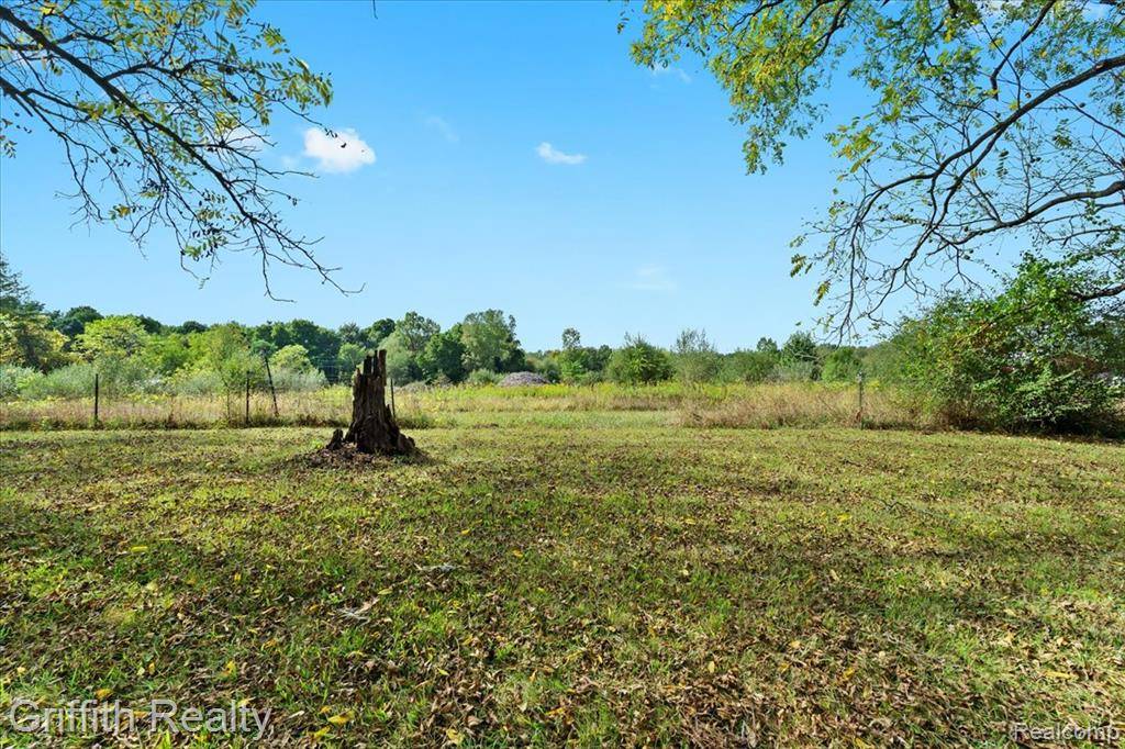 Lyndon Twp, MI 48118,9800 Beeman Road