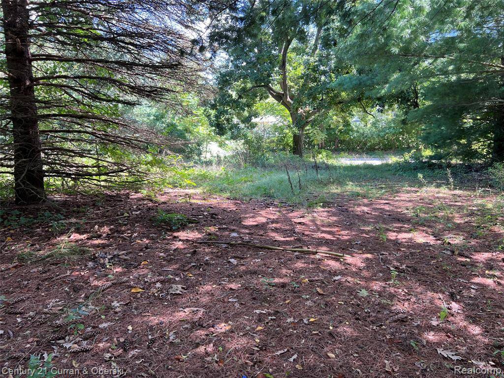 Lyon Twp, MI 48178,24917 Martindale Road