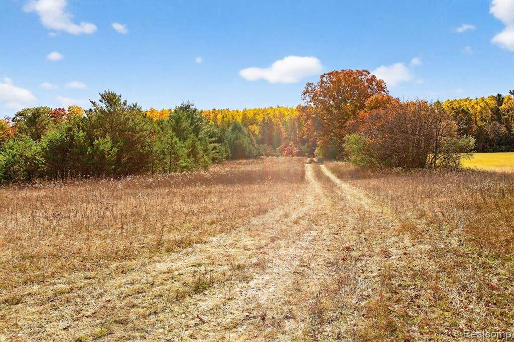 Dickson Twp, MI 49619,17760 Flarity Road