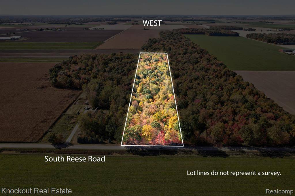 Frankenmuth Twp, MI 48734,4000 S Reese Road