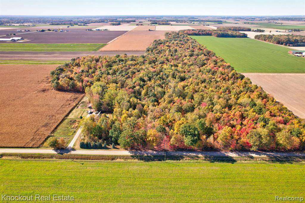 Frankenmuth Twp, MI 48734,4000 S Reese Road