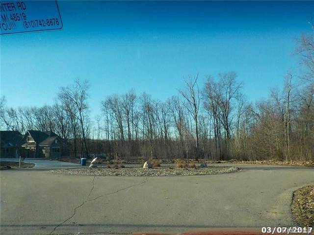 Tyrone Twp, MI 48430,11268 HIDDEN VIEW Court