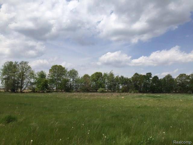 Iosco Twp, MI 48836,0 ADELINES (Lot 19) Way