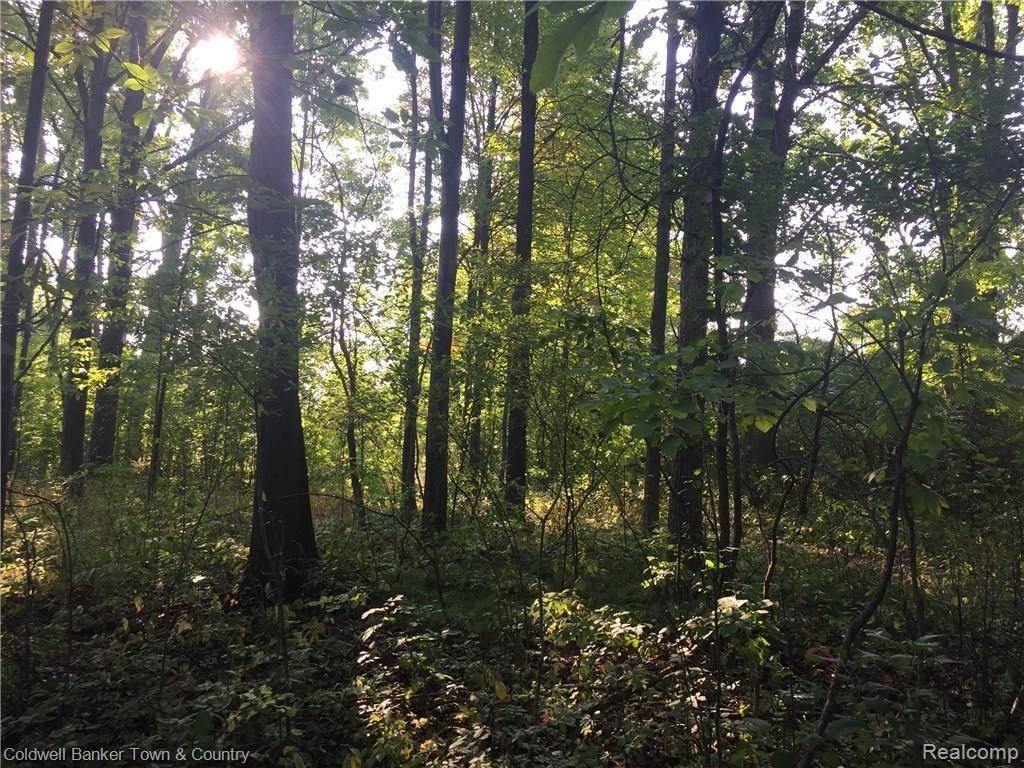 Oceola Twp, MI 48430,VL GREEN RD