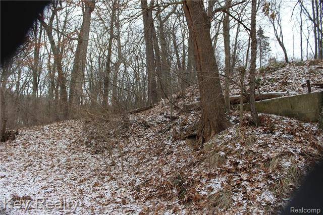 Putnam Twp, MI 48169,Lot 55 Chalkers Landing